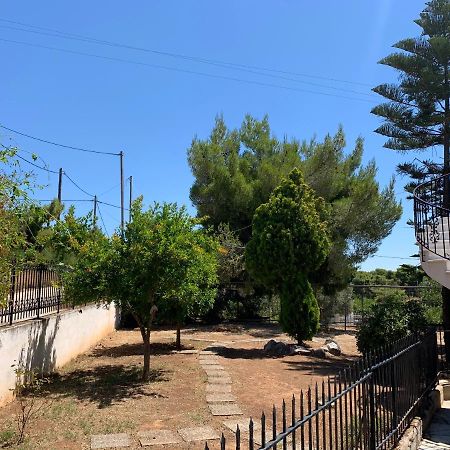 Villa Kavos - Isthmia Corinth Eksteriør bilde